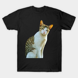 I love cat T-Shirt